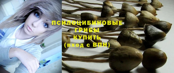 мет Балахна
